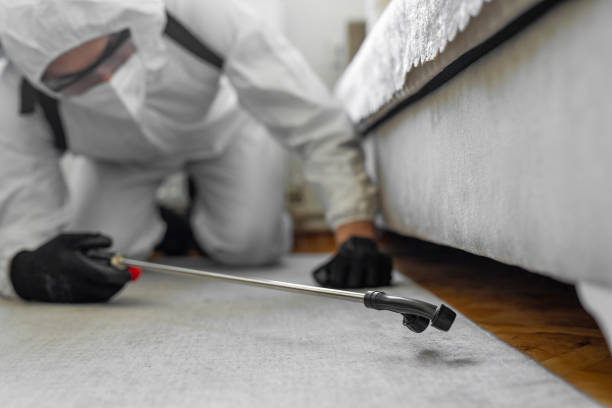 Professional Termite Control technician working in Hamilton, MO