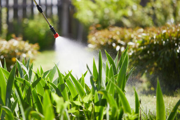 24/7 Emergency Termite Control experts in Hamilton, MO