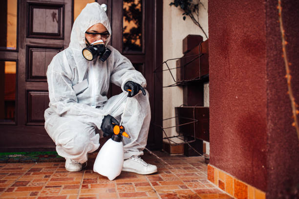 Reliable Termite Control contractor in Hamilton, MO by Nex Pest Control